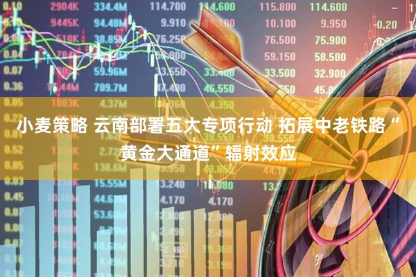 小麦策略 云南部署五大专项行动 拓展中老铁路“黄金大通道”辐射效应