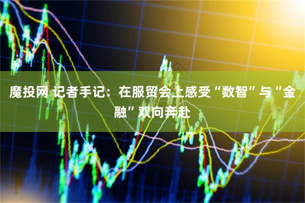 魔投网 记者手记：在服贸会上感受“数智”与“金融”双向奔赴
