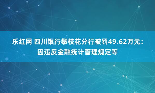 乐红网 四川银行攀枝花分行被罚49.62万元：因违反金融统计管理规定等