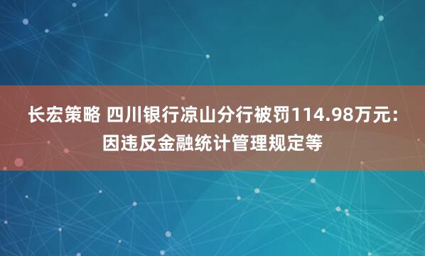 长宏策略 四川银行凉山分行被罚114.98万元：因违反金融统计管理规定等