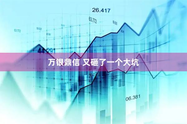 万银鼎信 又砸了一个大坑