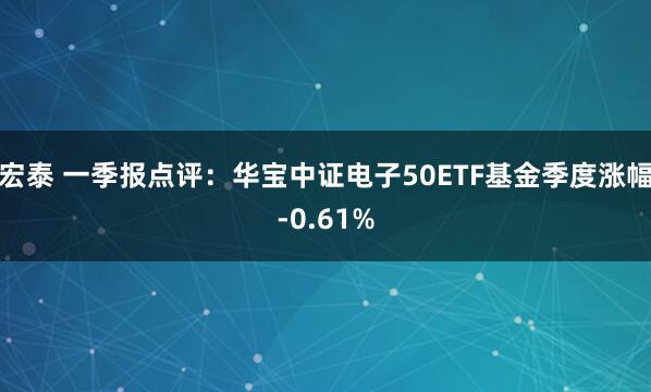 宏泰 一季报点评：华宝中证电子50ETF基金季度涨幅-0.61%